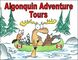 Algonquin Park Adventure Tours - Canoe Trips, Glamping Camping & Day Tours