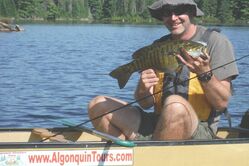 Algonquin Park Fishing Tour