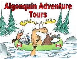 Algonquin Adventure Tours
