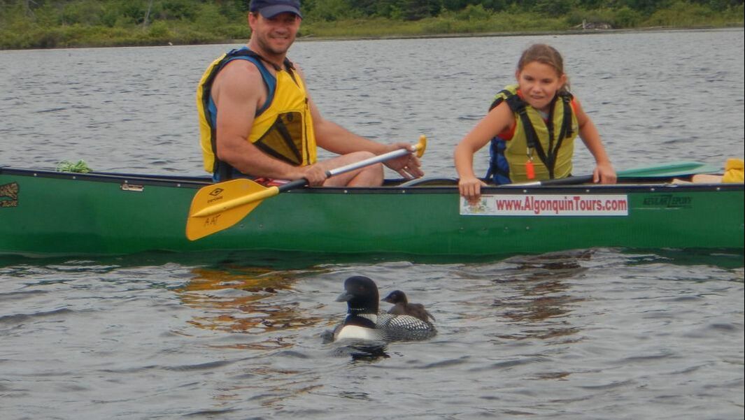 Algonquin Park Canoeing
