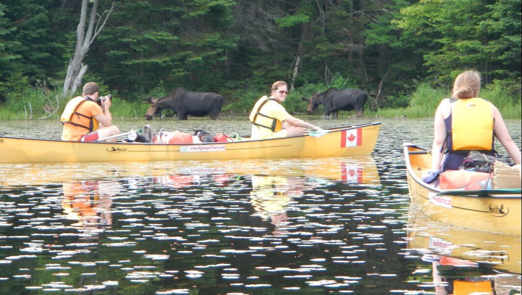 Algonquin Park Canoe Trip